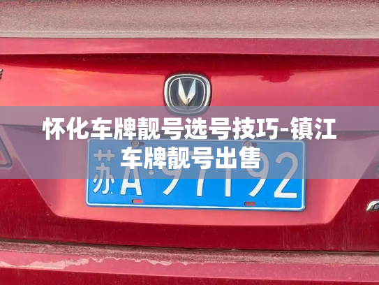 怀化车牌靓号选号技巧-镇江车牌靓号出售-第2张图片-七号汽车选号 怀化车牌靓号选号技巧-镇江车牌靓号出售-第2张图片-七号汽车选号