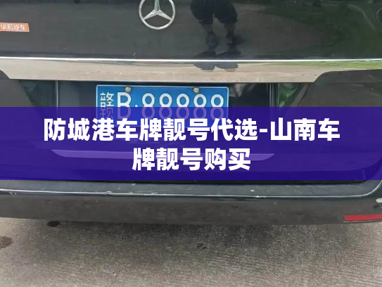 防城港车牌靓号代选-山南车牌靓号购买-第3张图片-七号汽车选号 防城港车牌靓号代选-山南车牌靓号购买-第3张图片-七号汽车选号