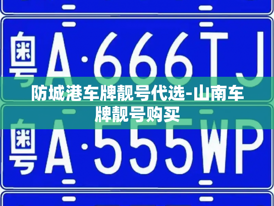 防城港车牌靓号代选-山南车牌靓号购买-第4张图片-七号汽车选号 防城港车牌靓号代选-山南车牌靓号购买-第4张图片-七号汽车选号
