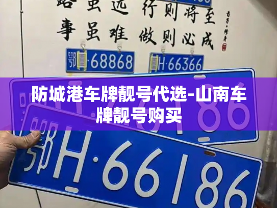 防城港车牌靓号代选-山南车牌靓号购买-第2张图片-七号汽车选号 防城港车牌靓号代选-山南车牌靓号购买-第2张图片-七号汽车选号