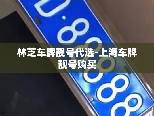 林芝车牌靓号代选-上海车牌靓号购买-第3张图片-七号汽车选号