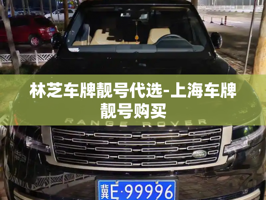 林芝车牌靓号代选-上海车牌靓号购买-第4张图片-七号汽车选号