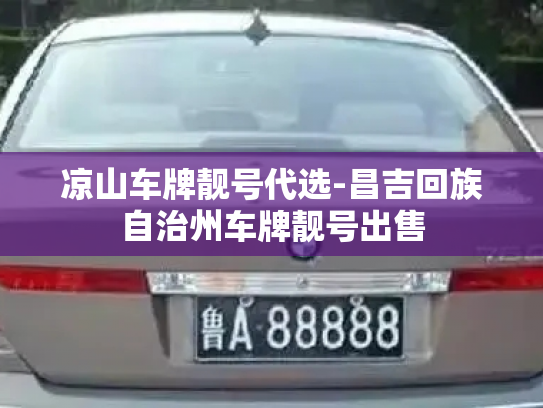 凉山车牌靓号代选-昌吉回族自治州车牌靓号出售-第3张图片-七号汽车选号 凉山车牌靓号代选-昌吉回族自治州车牌靓号出售-第3张图片-七号汽车选号