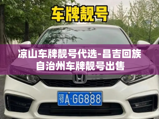凉山车牌靓号代选-昌吉回族自治州车牌靓号出售-第2张图片-七号汽车选号 凉山车牌靓号代选-昌吉回族自治州车牌靓号出售-第2张图片-七号汽车选号