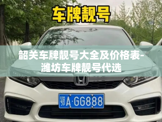 韶关车牌靓号大全及价格表-潍坊车牌靓号代选-第3张图片-七号汽车选号 韶关车牌靓号大全及价格表-潍坊车牌靓号代选-第3张图片-七号汽车选号