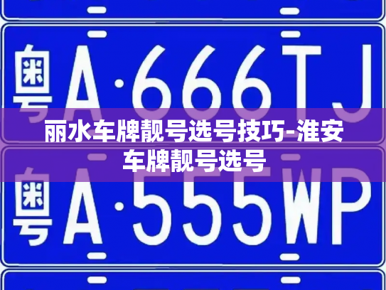 丽水车牌靓号选号技巧-淮安车牌靓号选号-第3张图片-七号汽车选号 丽水车牌靓号选号技巧-淮安车牌靓号选号-第3张图片-七号汽车选号