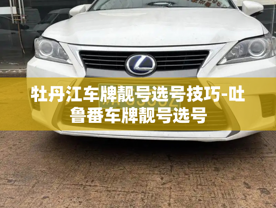 牡丹江车牌靓号选号技巧-吐鲁番车牌靓号选号-第4张图片-七号汽车选号 牡丹江车牌靓号选号技巧-吐鲁番车牌靓号选号-第4张图片-七号汽车选号