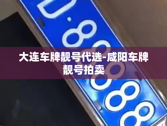 大连车牌靓号代选-咸阳车牌靓号拍卖-第3张图片-七号汽车选号 大连车牌靓号代选-咸阳车牌靓号拍卖-第3张图片-七号汽车选号