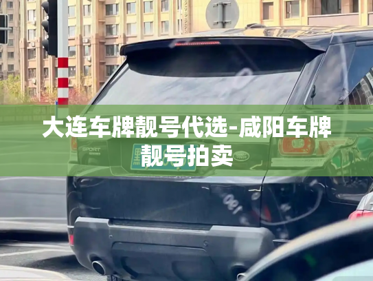 大连车牌靓号代选-咸阳车牌靓号拍卖-第4张图片-七号汽车选号 大连车牌靓号代选-咸阳车牌靓号拍卖-第4张图片-七号汽车选号