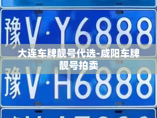 大连车牌靓号代选-咸阳车牌靓号拍卖-第2张图片-七号汽车选号 大连车牌靓号代选-咸阳车牌靓号拍卖-第2张图片-七号汽车选号