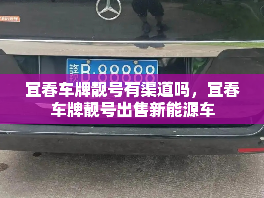宜春车牌靓号有渠道吗,宜春车牌靓号出售新能源车-第2张图片-七号汽车选号 宜春车牌靓号有渠道吗,宜春车牌靓号出售新能源车-第2张图片-七号汽车选号