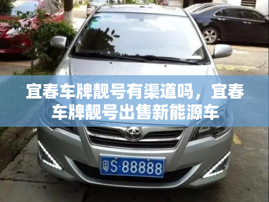 宜春车牌靓号有渠道吗,宜春车牌靓号出售新能源车-第3张图片-七号汽车选号 宜春车牌靓号有渠道吗,宜春车牌靓号出售新能源车-第3张图片-七号汽车选号