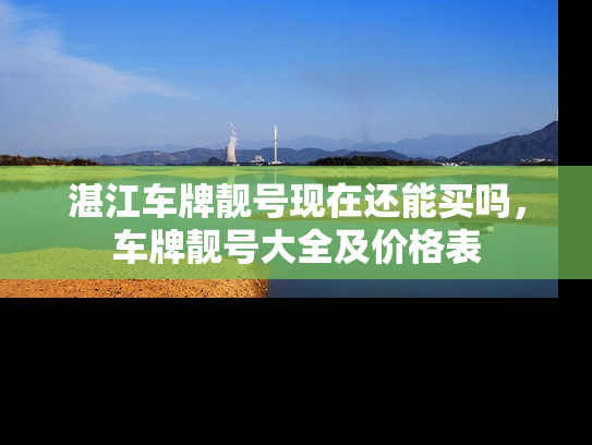 湛江车牌靓号现在还能买吗，车牌靓号大全及价格表