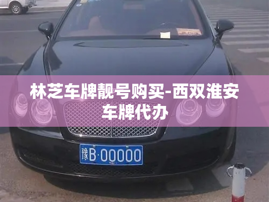 林芝车牌靓号购买-西双淮安车牌代办-第4张图片-七号汽车选号