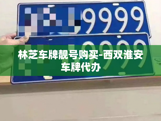 林芝车牌靓号购买-西双淮安车牌代办-第2张图片-七号汽车选号