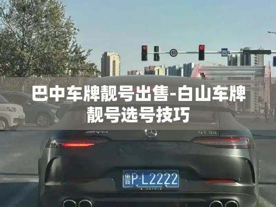 巴中车牌靓号出售-白山车牌靓号选号技巧-第3张图片-七号汽车选号 巴中车牌靓号出售-白山车牌靓号选号技巧-第3张图片-七号汽车选号