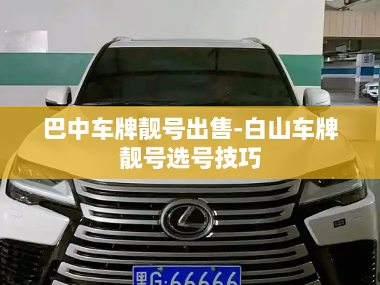 巴中车牌靓号出售-白山车牌靓号选号技巧-第4张图片-七号汽车选号 巴中车牌靓号出售-白山车牌靓号选号技巧-第4张图片-七号汽车选号