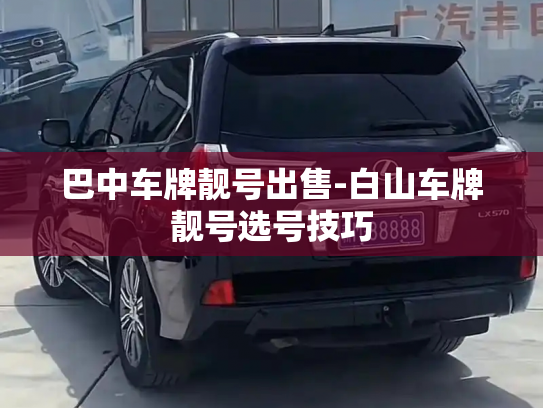 巴中车牌靓号出售-白山车牌靓号选号技巧-第2张图片-七号汽车选号 巴中车牌靓号出售-白山车牌靓号选号技巧-第2张图片-七号汽车选号