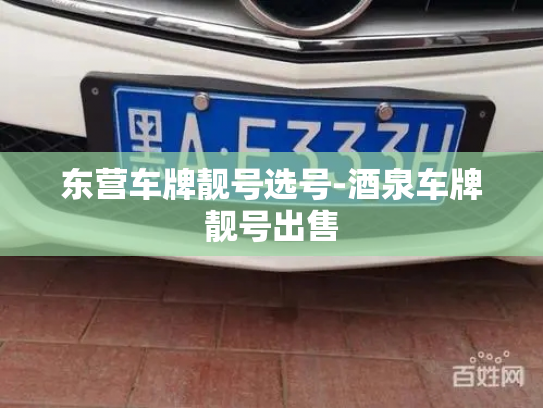 东营车牌靓号选号-酒泉车牌靓号出售-第3张图片-七号汽车选号 东营车牌靓号选号-酒泉车牌靓号出售-第3张图片-七号汽车选号