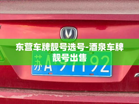 东营车牌靓号选号-酒泉车牌靓号出售-第4张图片-七号汽车选号 东营车牌靓号选号-酒泉车牌靓号出售-第4张图片-七号汽车选号
