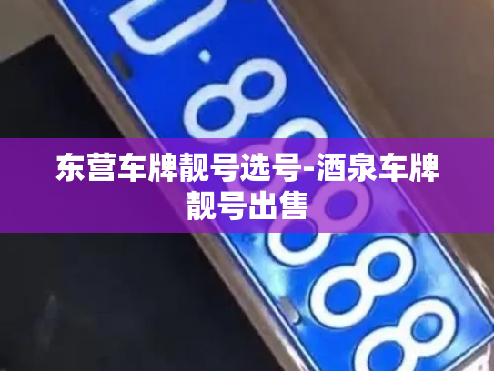 东营车牌靓号选号-酒泉车牌靓号出售-第2张图片-七号汽车选号 东营车牌靓号选号-酒泉车牌靓号出售-第2张图片-七号汽车选号