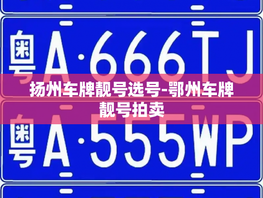 扬州车牌靓号选号-鄂州车牌靓号拍卖-第3张图片-七号汽车选号 扬州车牌靓号选号-鄂州车牌靓号拍卖-第3张图片-七号汽车选号