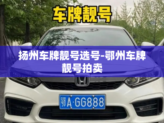 扬州车牌靓号选号-鄂州车牌靓号拍卖-第4张图片-七号汽车选号 扬州车牌靓号选号-鄂州车牌靓号拍卖-第4张图片-七号汽车选号