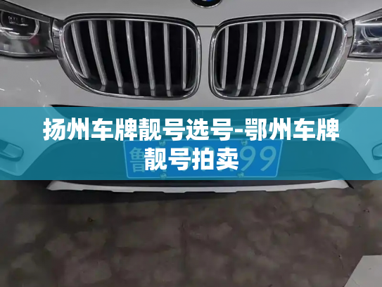 扬州车牌靓号选号-鄂州车牌靓号拍卖-第2张图片-七号汽车选号 扬州车牌靓号选号-鄂州车牌靓号拍卖-第2张图片-七号汽车选号