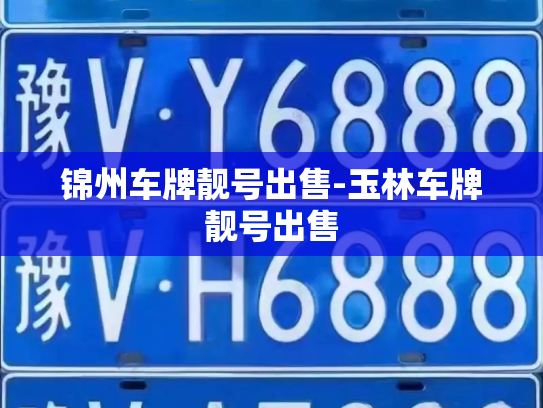 锦州车牌靓号出售-玉林车牌靓号出售-第3张图片-七号汽车选号 锦州车牌靓号出售-玉林车牌靓号出售-第3张图片-七号汽车选号