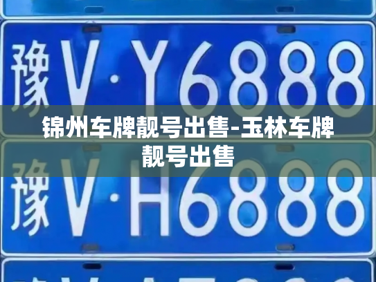 锦州车牌靓号出售-玉林车牌靓号出售-第4张图片-七号汽车选号 锦州车牌靓号出售-玉林车牌靓号出售-第4张图片-七号汽车选号