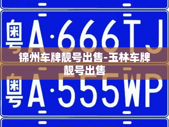 锦州车牌靓号出售-玉林车牌靓号出售-第2张图片-七号汽车选号 锦州车牌靓号出售-玉林车牌靓号出售-第2张图片-七号汽车选号