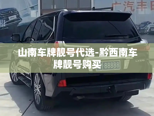 山南车牌靓号代选-黔西南车牌靓号购买-第3张图片-七号汽车选号 山南车牌靓号代选-黔西南车牌靓号购买-第3张图片-七号汽车选号