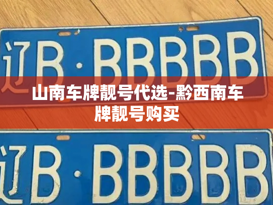 山南车牌靓号代选-黔西南车牌靓号购买-第2张图片-七号汽车选号 山南车牌靓号代选-黔西南车牌靓号购买-第2张图片-七号汽车选号