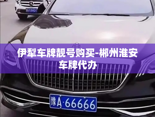伊犁车牌靓号购买-郴州淮安车牌代办-第3张图片-七号汽车选号