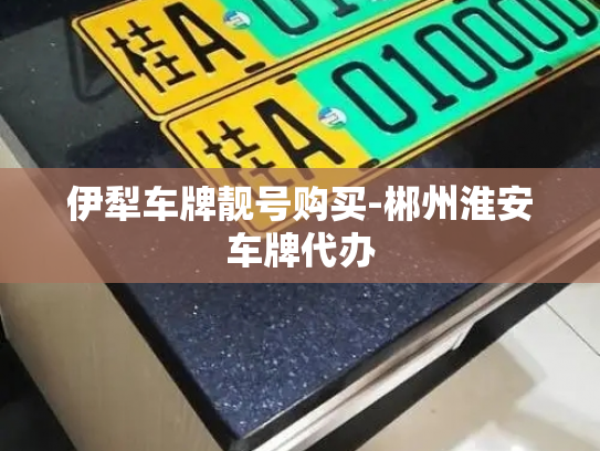 伊犁车牌靓号购买-郴州淮安车牌代办-第4张图片-七号汽车选号