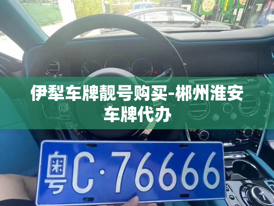伊犁车牌靓号购买-郴州淮安车牌代办-第2张图片-七号汽车选号