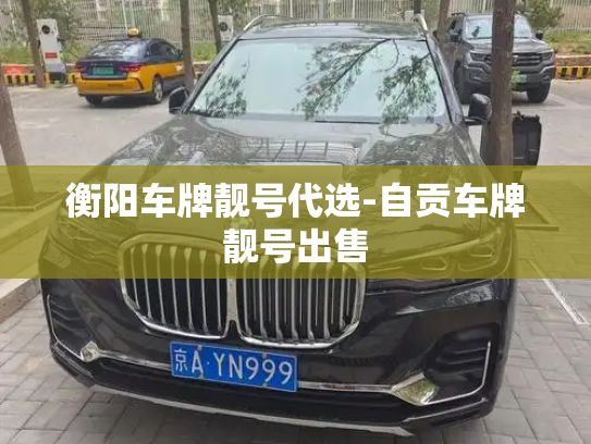 衡阳车牌靓号代选-自贡车牌靓号出售-第3张图片-七号汽车选号