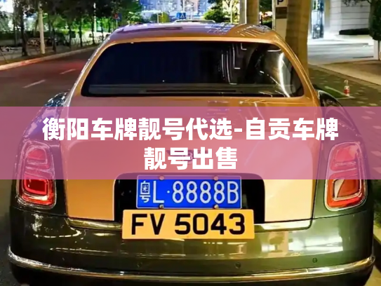 衡阳车牌靓号代选-自贡车牌靓号出售-第4张图片-七号汽车选号
