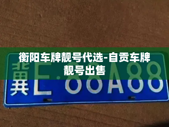 衡阳车牌靓号代选-自贡车牌靓号出售-第2张图片-七号汽车选号