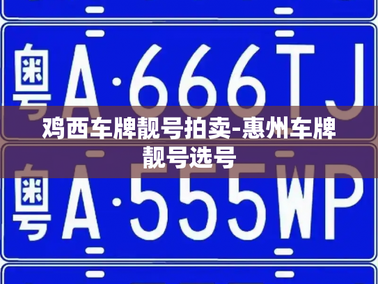 鸡西车牌靓号拍卖-惠州车牌靓号选号-第3张图片-七号汽车选号 鸡西车牌靓号拍卖-惠州车牌靓号选号-第3张图片-七号汽车选号