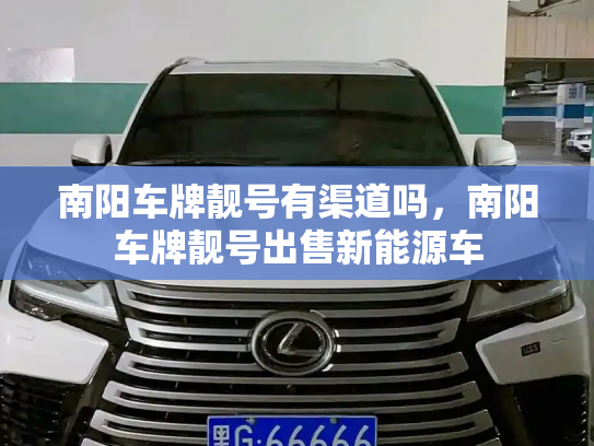 南阳车牌靓号有渠道吗，南阳车牌靓号出售新能源车-第3张图片-七号汽车选号