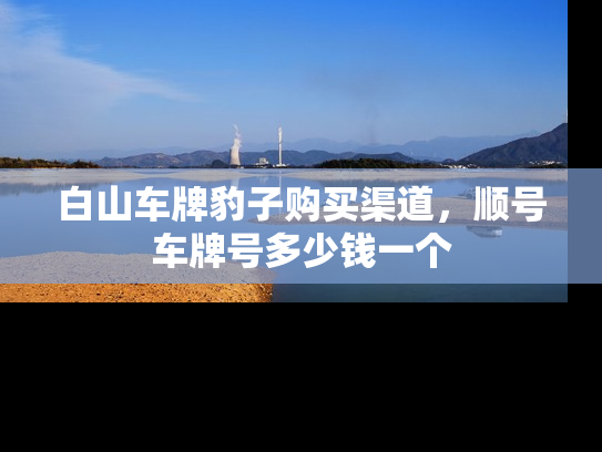 白山车牌豹子购买渠道，顺号车牌号多少钱一个
