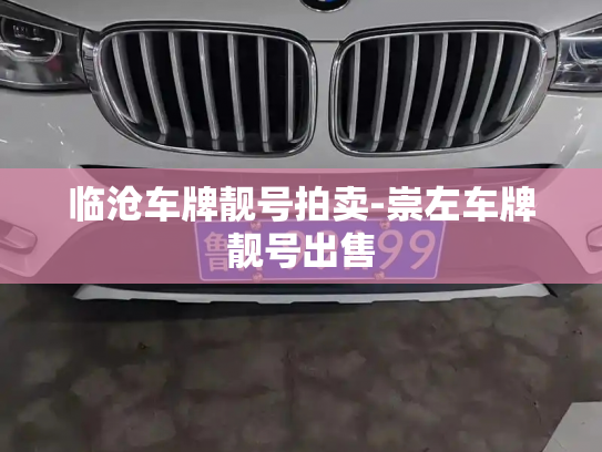 临沧车牌靓号拍卖-崇左车牌靓号出售-第3张图片-七号汽车选号 临沧车牌靓号拍卖-崇左车牌靓号出售-第3张图片-七号汽车选号