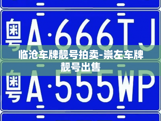 临沧车牌靓号拍卖-崇左车牌靓号出售-第4张图片-七号汽车选号 临沧车牌靓号拍卖-崇左车牌靓号出售-第4张图片-七号汽车选号