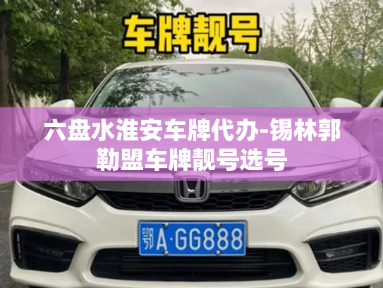 六盘水淮安车牌代办-锡林郭勒盟车牌靓号选号-第3张图片-七号汽车选号 六盘水淮安车牌代办-锡林郭勒盟车牌靓号选号-第3张图片-七号汽车选号