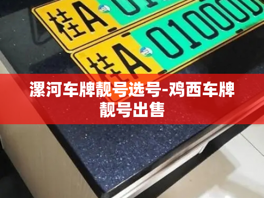 漯河车牌靓号选号-鸡西车牌靓号出售-第3张图片-七号汽车选号 漯河车牌靓号选号-鸡西车牌靓号出售-第3张图片-七号汽车选号