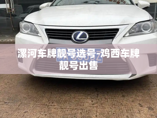 漯河车牌靓号选号-鸡西车牌靓号出售-第4张图片-七号汽车选号 漯河车牌靓号选号-鸡西车牌靓号出售-第4张图片-七号汽车选号