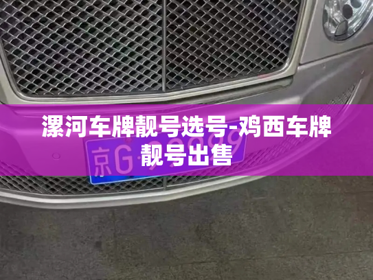 漯河车牌靓号选号-鸡西车牌靓号出售-第2张图片-七号汽车选号 漯河车牌靓号选号-鸡西车牌靓号出售-第2张图片-七号汽车选号
