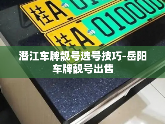 潜江车牌靓号选号技巧-岳阳车牌靓号出售-第3张图片-七号汽车选号 潜江车牌靓号选号技巧-岳阳车牌靓号出售-第3张图片-七号汽车选号