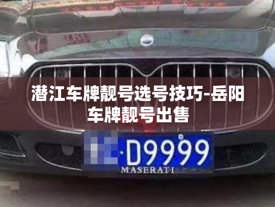 潜江车牌靓号选号技巧-岳阳车牌靓号出售-第4张图片-七号汽车选号 潜江车牌靓号选号技巧-岳阳车牌靓号出售-第4张图片-七号汽车选号